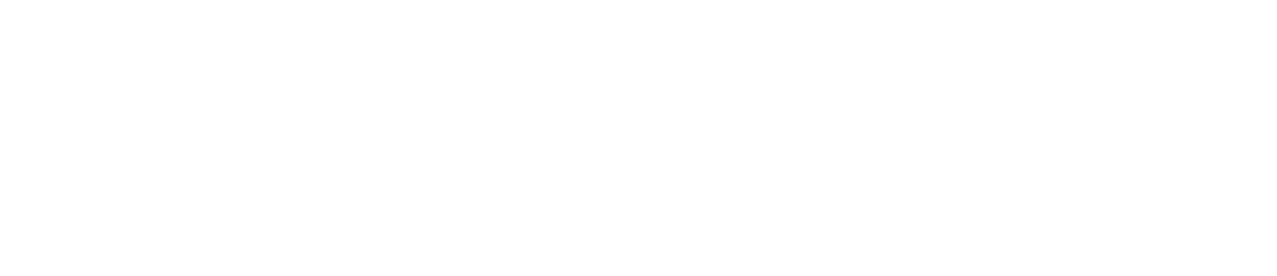 Sinak Corporation